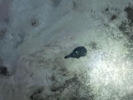 Террористические угрозы разъяснены Террористические угрозы разъяснены