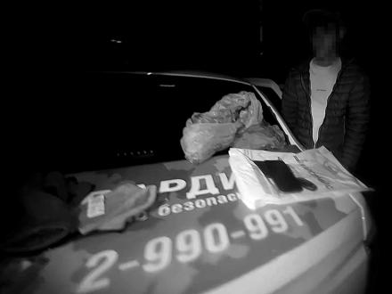 Крипта в кустах Крипта в кустах