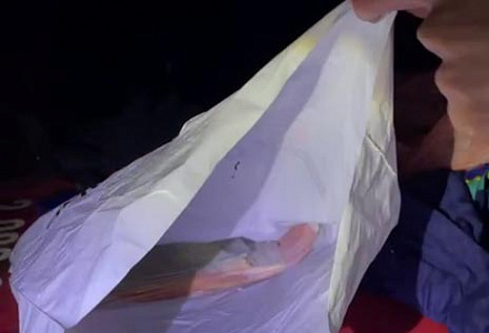 Крипта в кустах