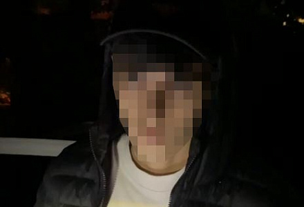 Крипта в кустах